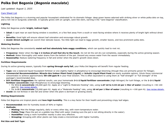 caresheets/begonia_maculata screenshot
