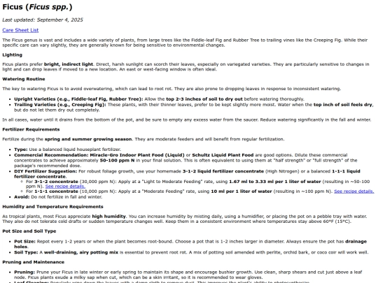 caresheets/ficus screenshot
