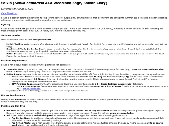 caresheets/salvia_nemorosa screenshot