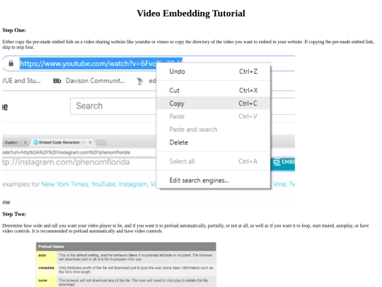 video-embedding-tutorial screenshot