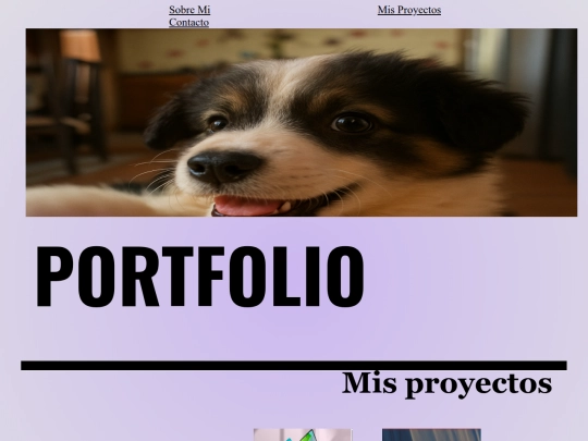 porfolio screenshot