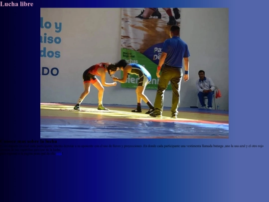 Diseño Estructura /deporte screenshot