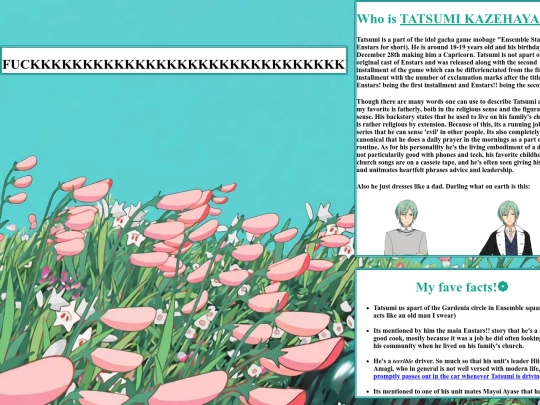 tatsumi-yume/tatsumiyume screenshot