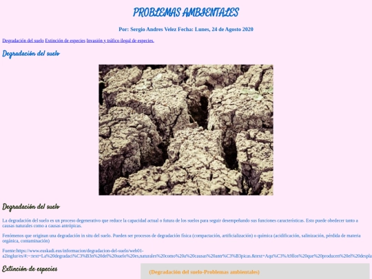 BlogSAV screenshot