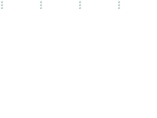 vision screenshot