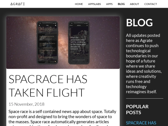 blog screenshot