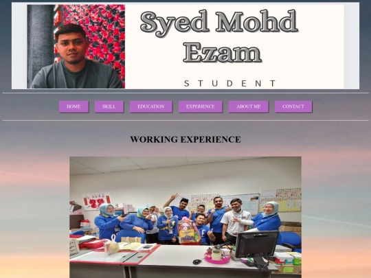 work experience screenshot