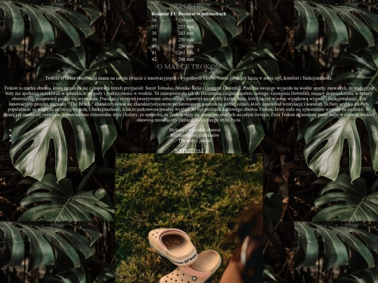 pogoda screenshot
