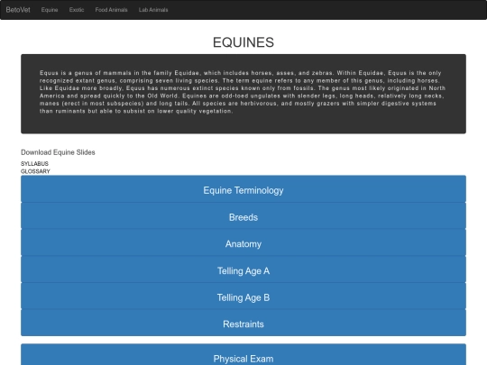 equine screenshot