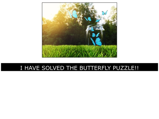 puzzle/butterfly_puzzle/butterfly-puzzle screenshot