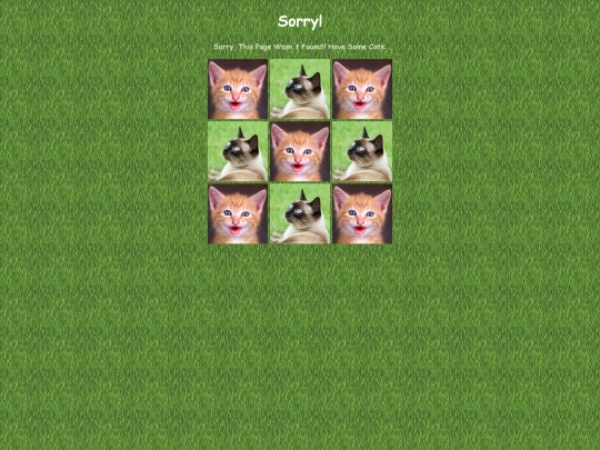 catfunny screenshot