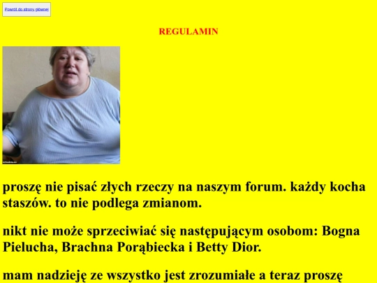 regulamin screenshot