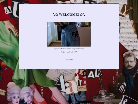 Sites/meetthefag screenshot