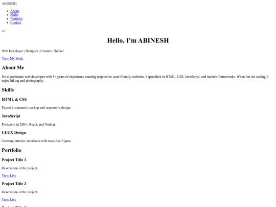 Task 1/ABINESH - Personal Portfolios screenshot