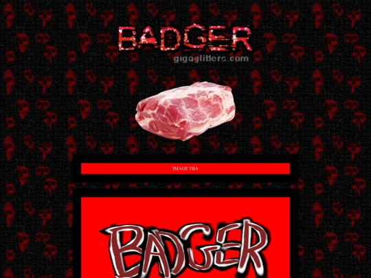 badger screenshot