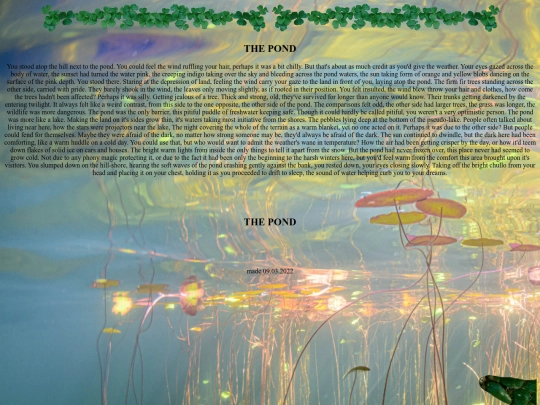 pond screenshot