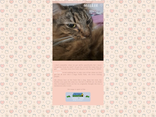 pets/millie screenshot