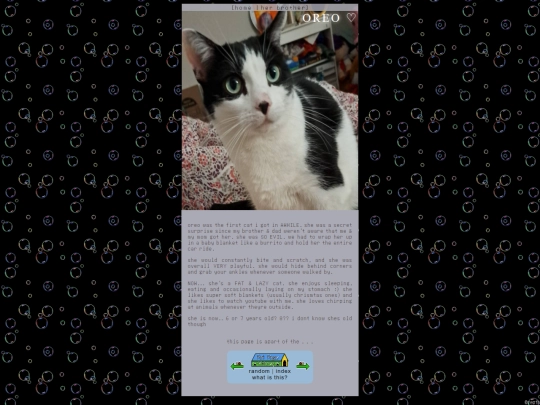 pets/oreo screenshot