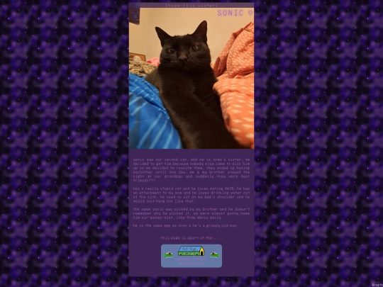 pets/sonic screenshot