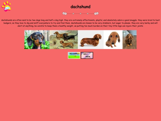 dachshund screenshot