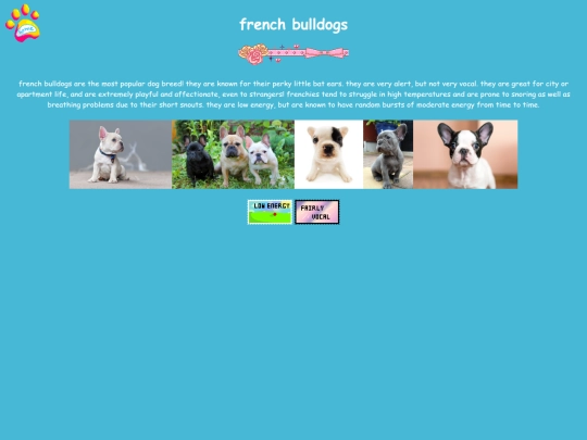 frenchie screenshot