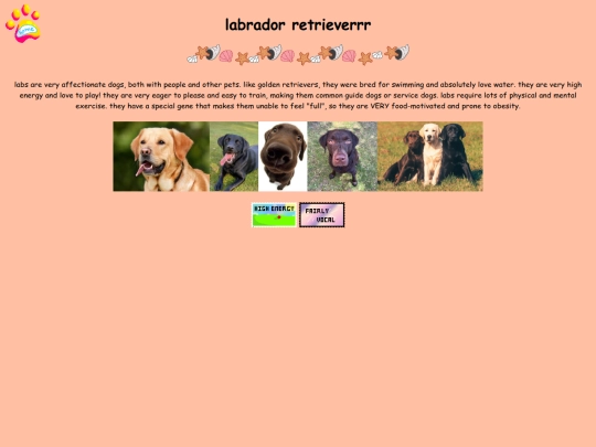 lab screenshot