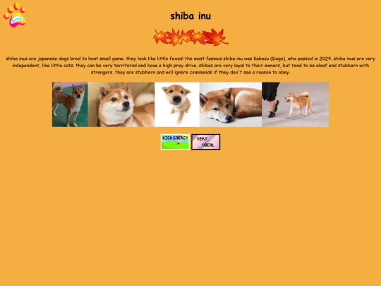 shiba screenshot