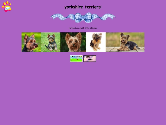 yorkie screenshot