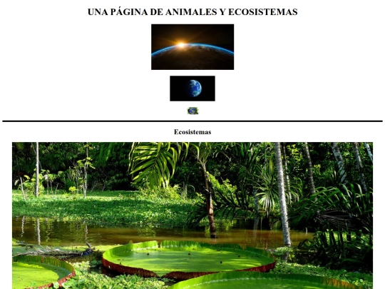 ejercicio05 screenshot