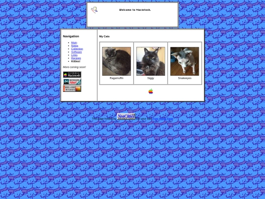 cats screenshot