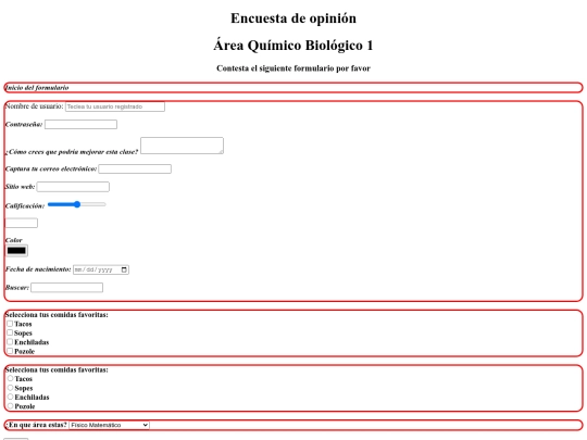 formulario/formulario screenshot