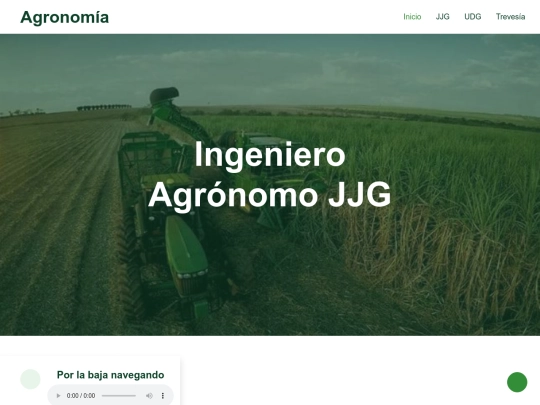 sitio web screenshot
