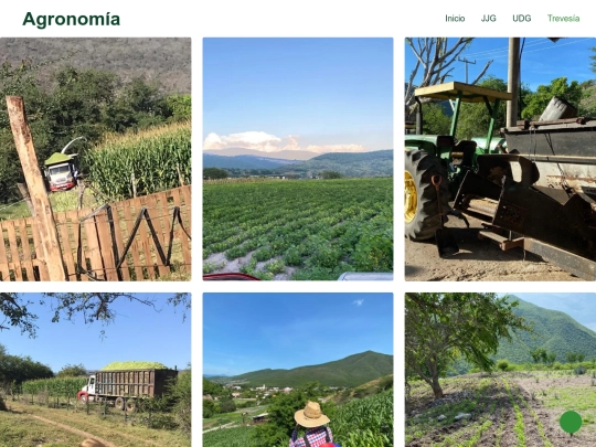 sitio web/project screenshot