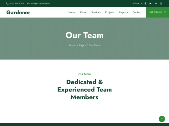 sitio web/team screenshot