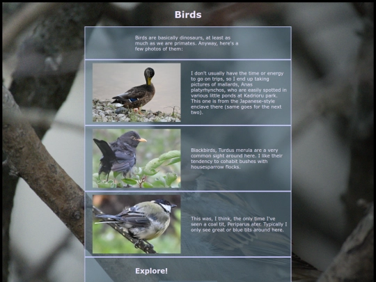 birds screenshot