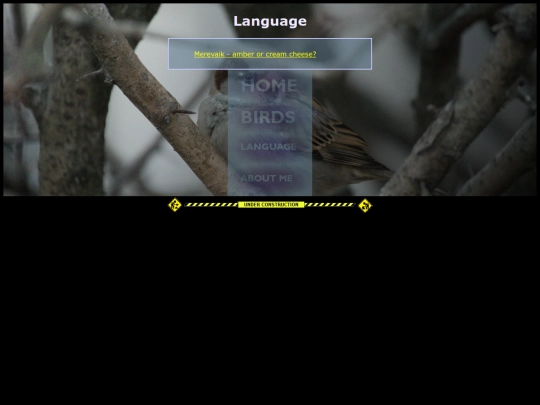 language screenshot
