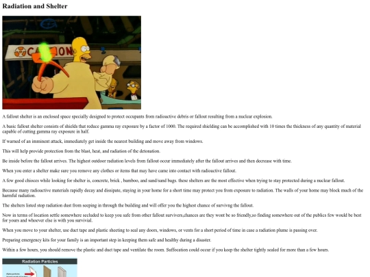 RadiationandShelter screenshot
