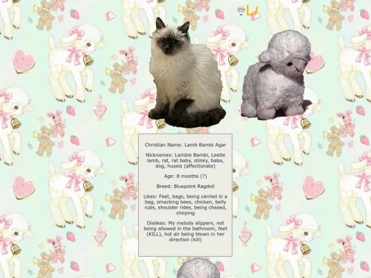 lambie screenshot
