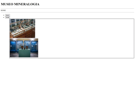 museodimineralogia screenshot