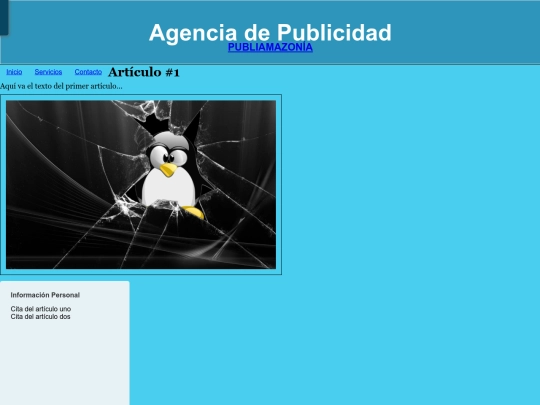 PubliAmazonia/html/contacto screenshot