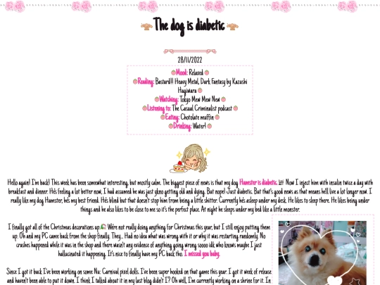 bl/28.11.2022 screenshot
