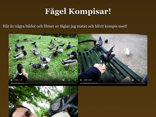 alfred/fåglar screenshot