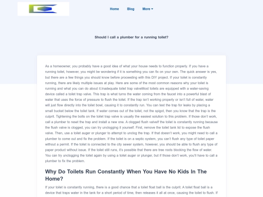 blog/should-i-call-a-plumber-for-a-running-toilet screenshot