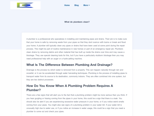 blog/what-do-plumbers-clean screenshot