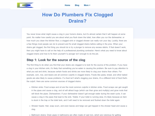 how-do-plumbers-fix-clogged-drains screenshot