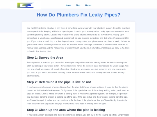 how-do-plumbers-fix-leaky-pipes screenshot