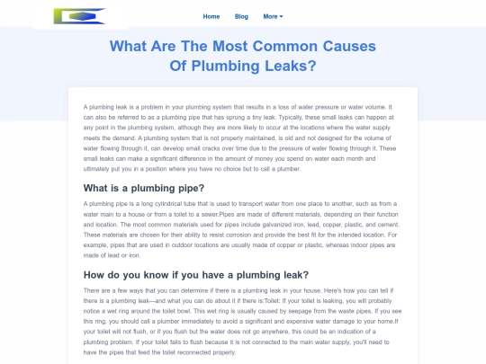 what-are-the-most-common-causes-of-plumbing-leaks screenshot