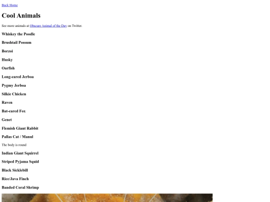 html/cool_animals/cool_animals screenshot