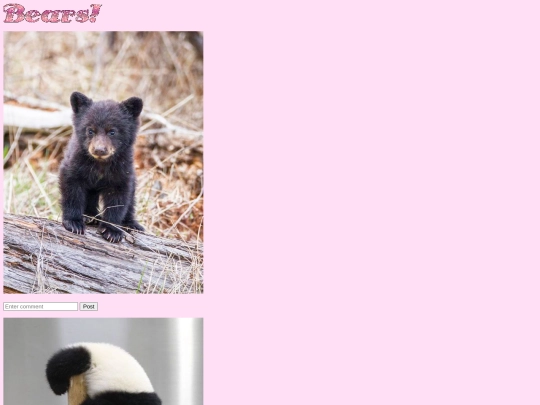bears screenshot