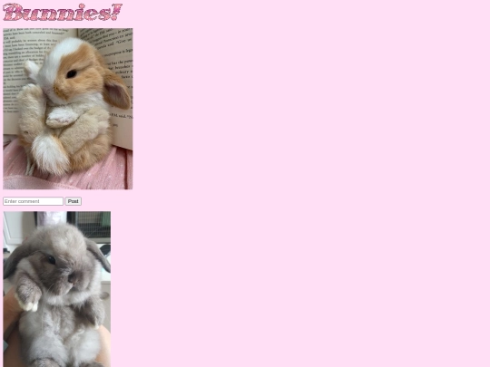 bunnies screenshot